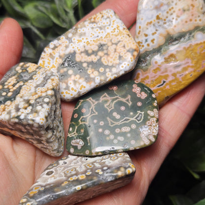 Orbicular Ocean Jasper Palm Stone, (1.25