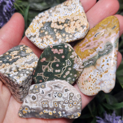 Orbicular Ocean Jasper Palm Stone, (1.25