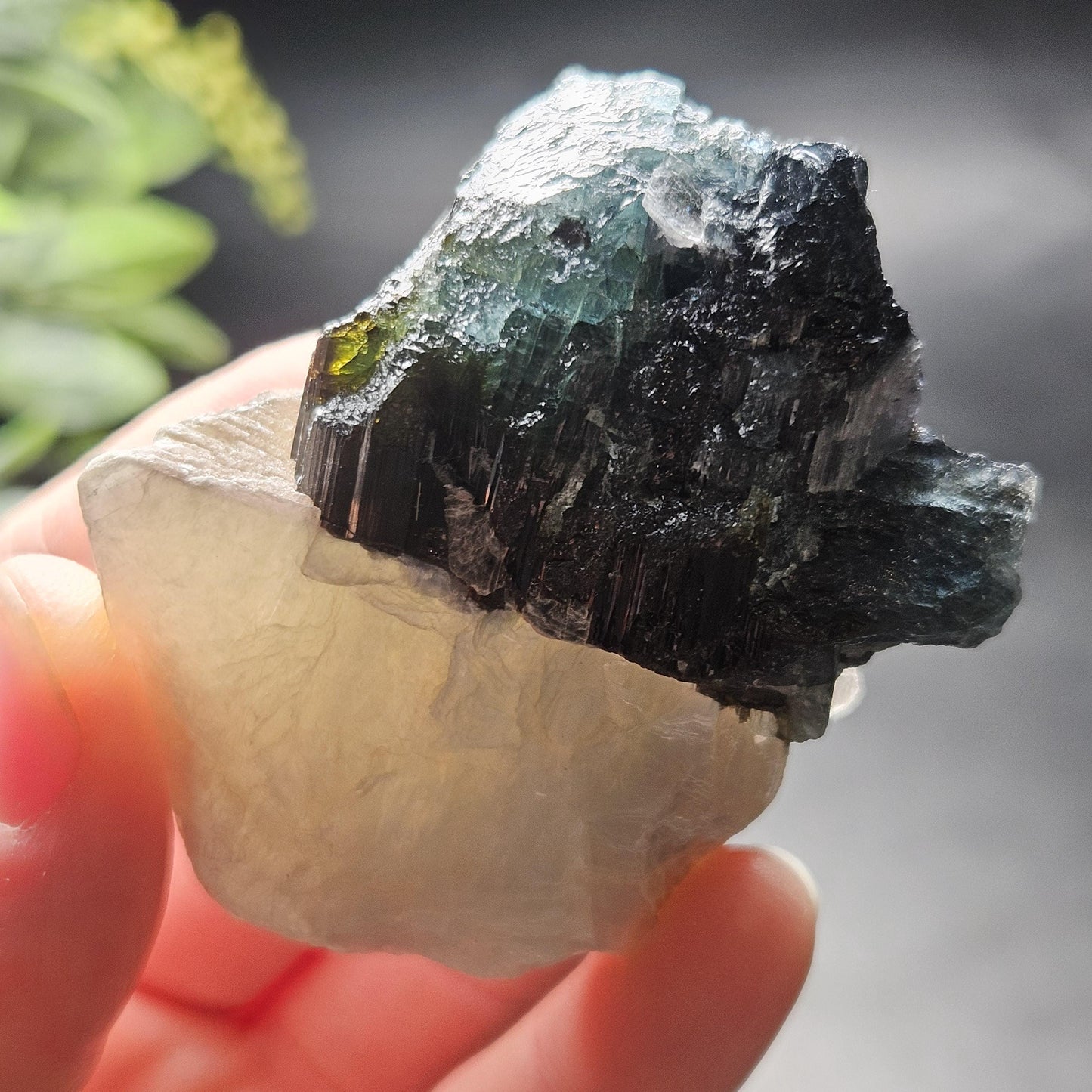 Blue Tourmaline Crystal 62.77g
