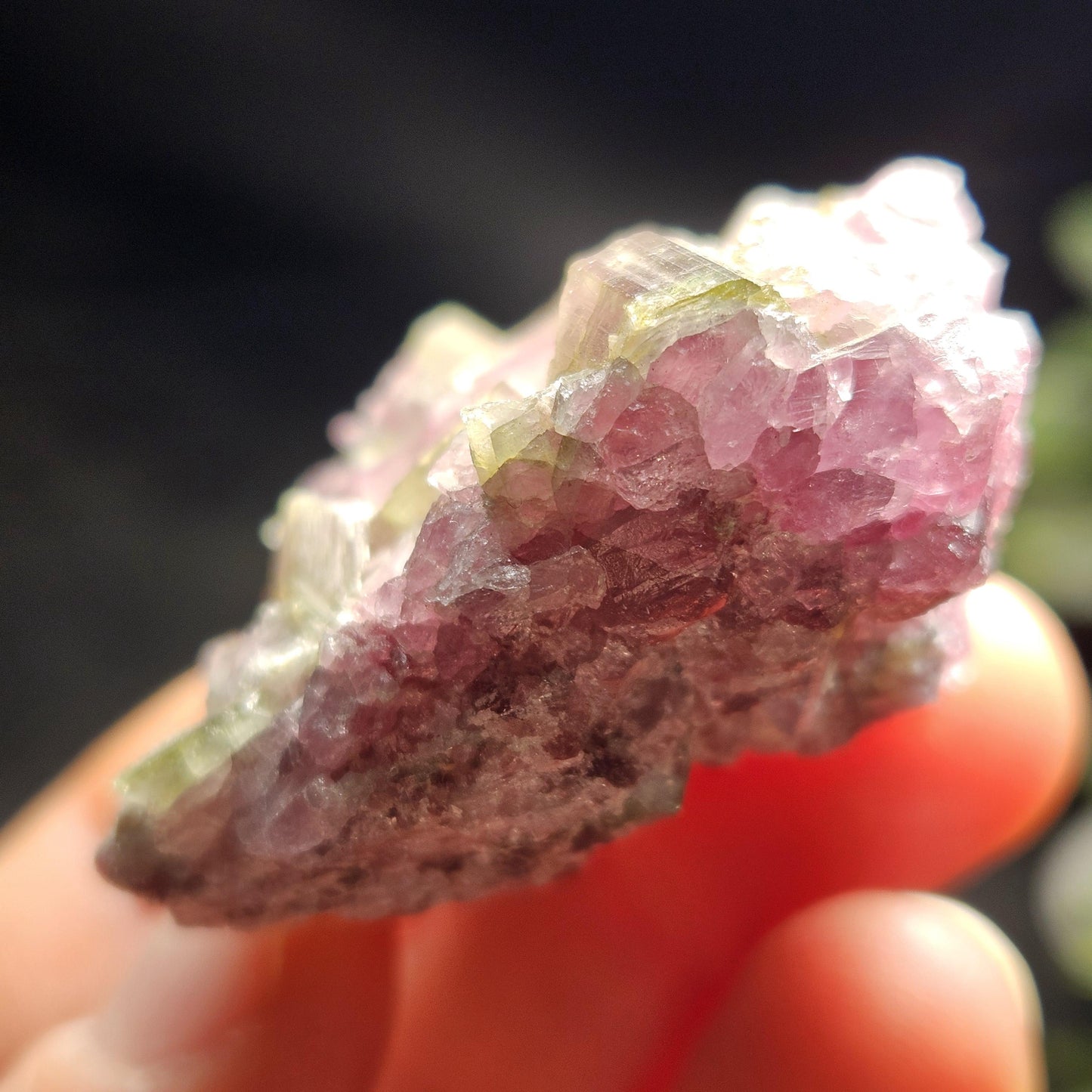 Watermelon Tourmaline Crystal Cluster 41.96g