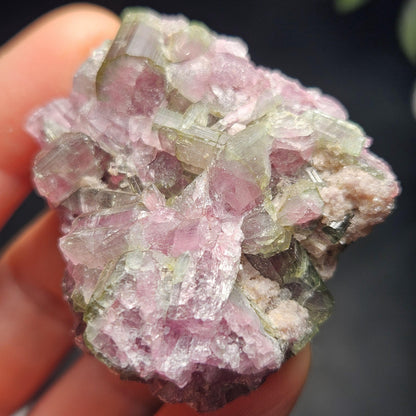 Watermelon Tourmaline Crystal Cluster 41.96g