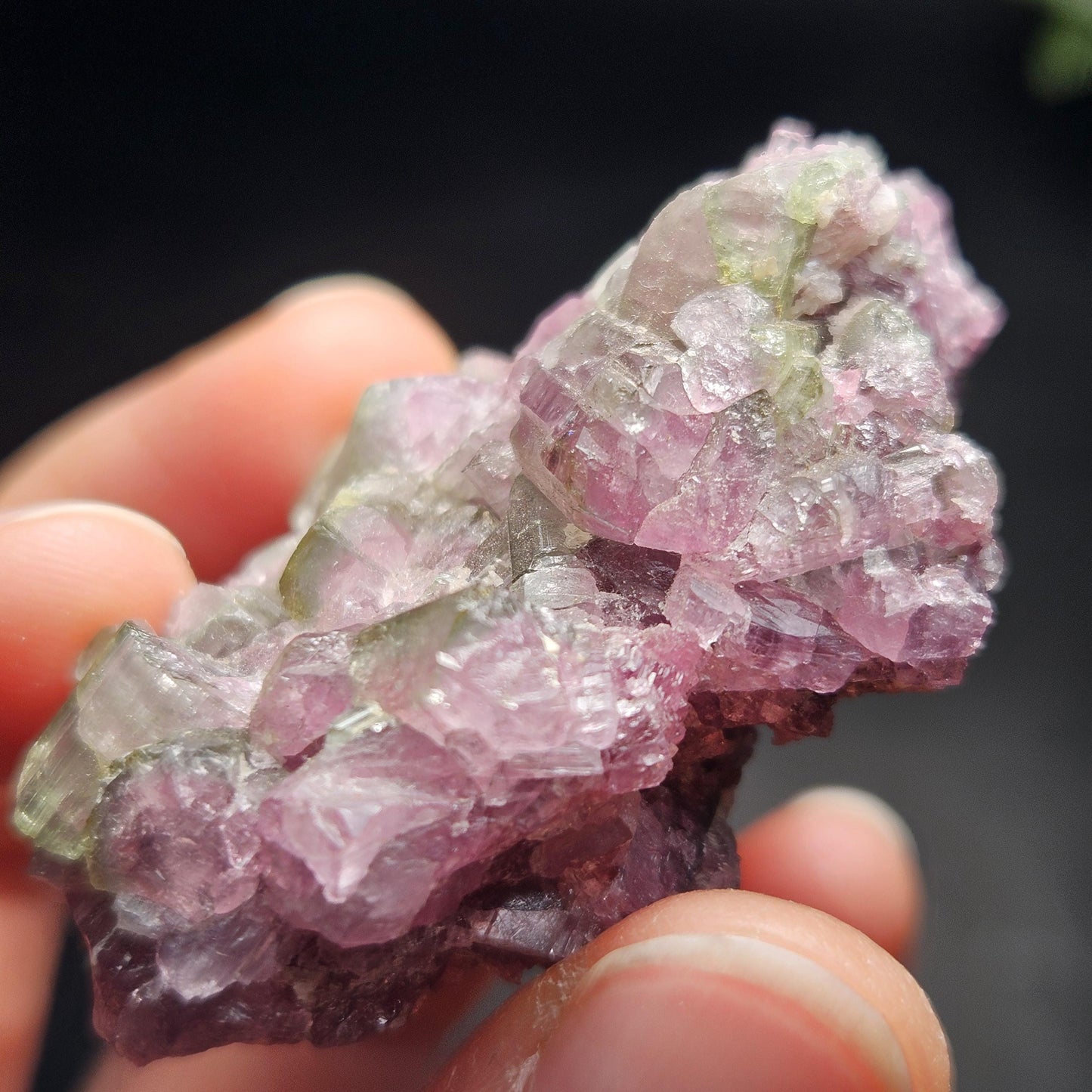 Watermelon Tourmaline Crystal Cluster 41.96g