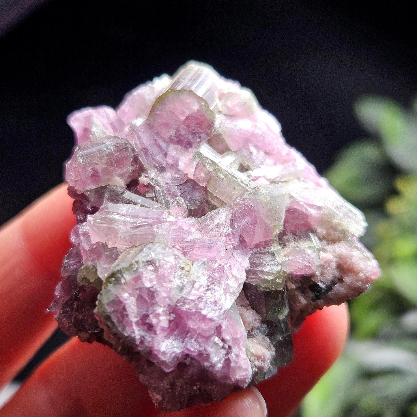 Watermelon Tourmaline Crystal Cluster 41.96g