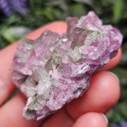 Watermelon Tourmaline Crystal Cluster 41.96g