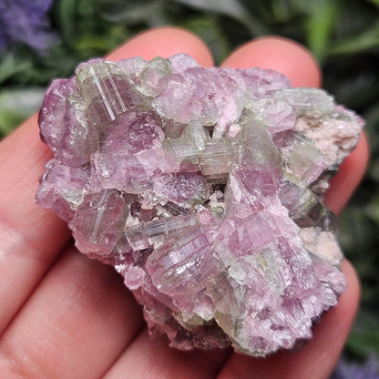 Watermelon Tourmaline Crystal Cluster 41.96g