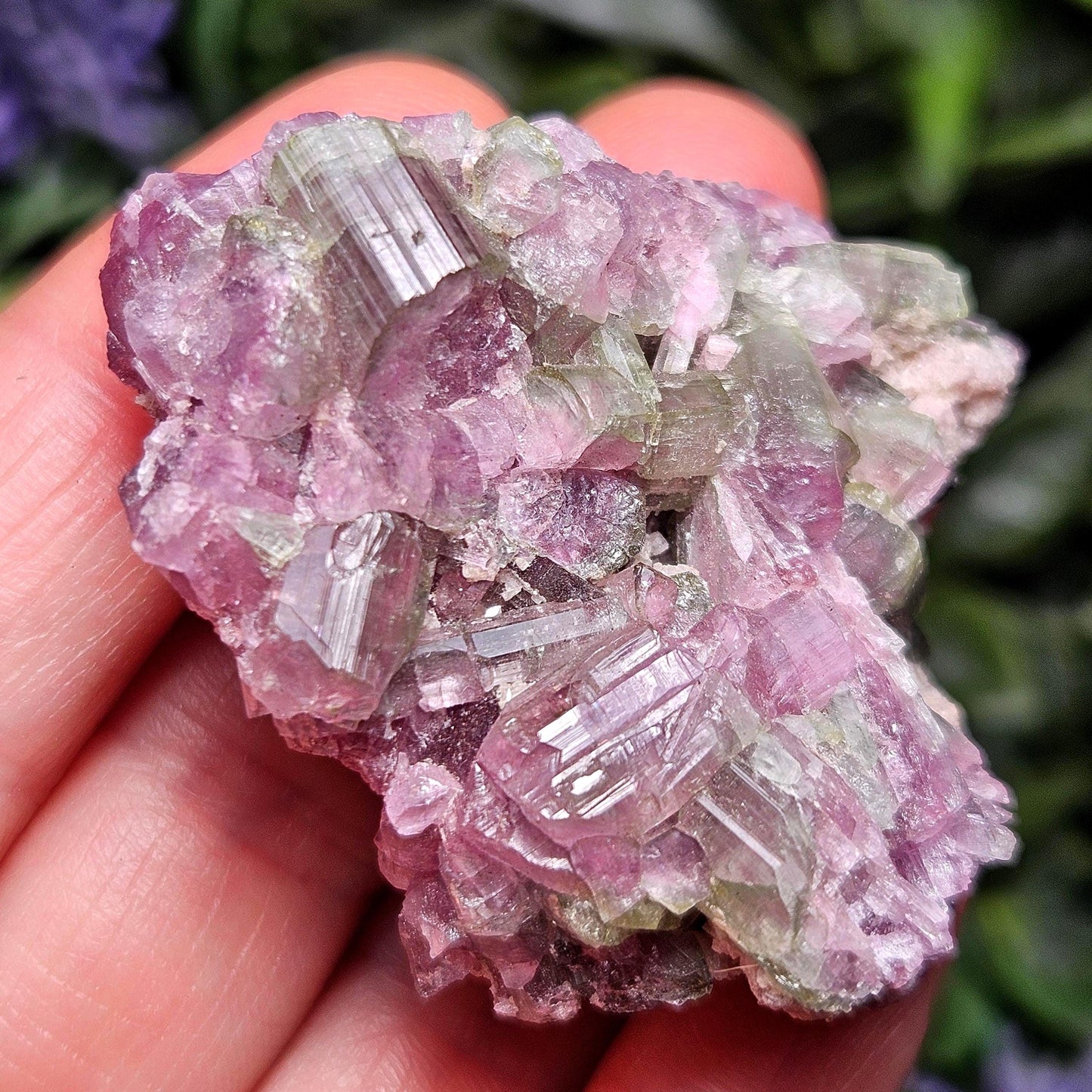 Watermelon Tourmaline Crystal Cluster 41.96g