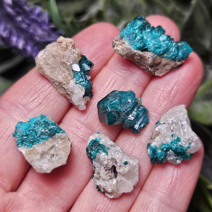 Kazakhstan Dioptase Cluster, RARE Locale