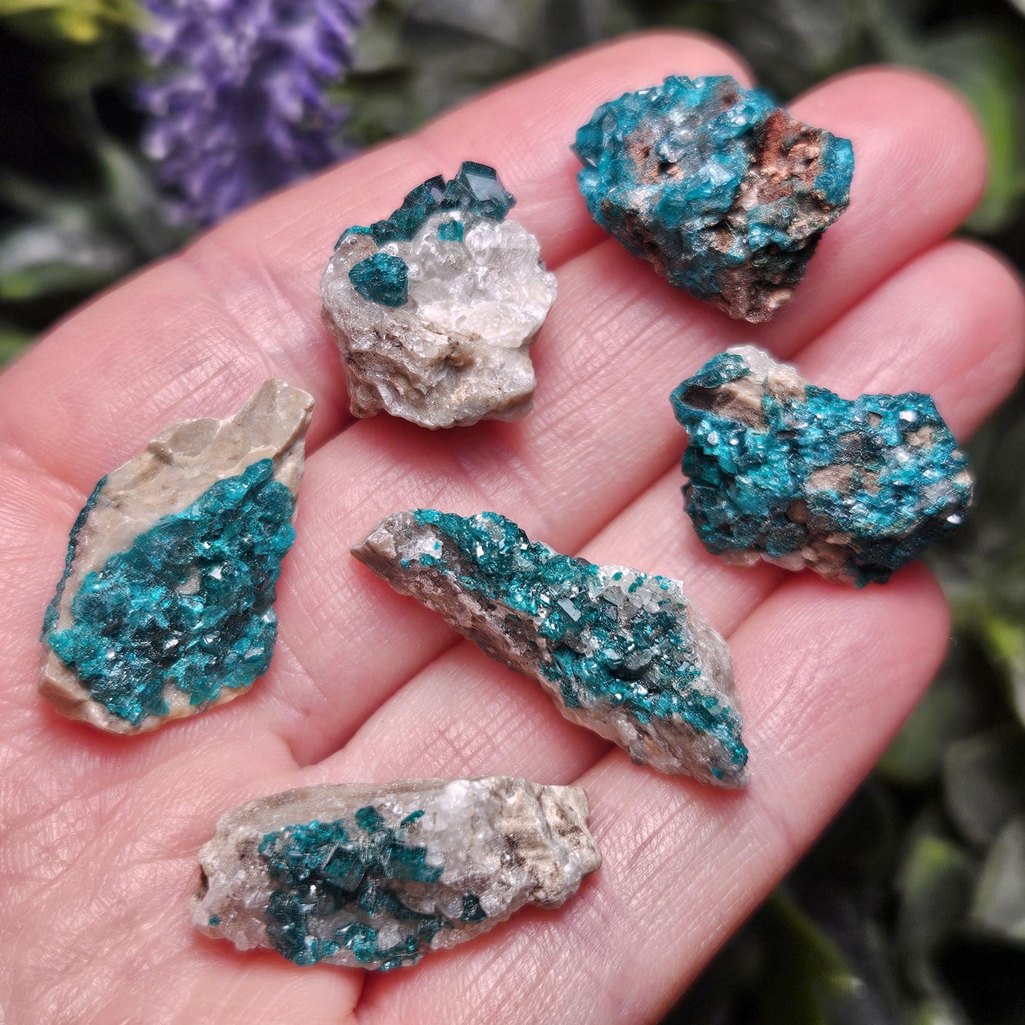Kazakhstan Dioptase Cluster, RARE Locale