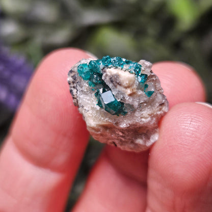 Kazakhstan Dioptase Cluster, RARE Locale
