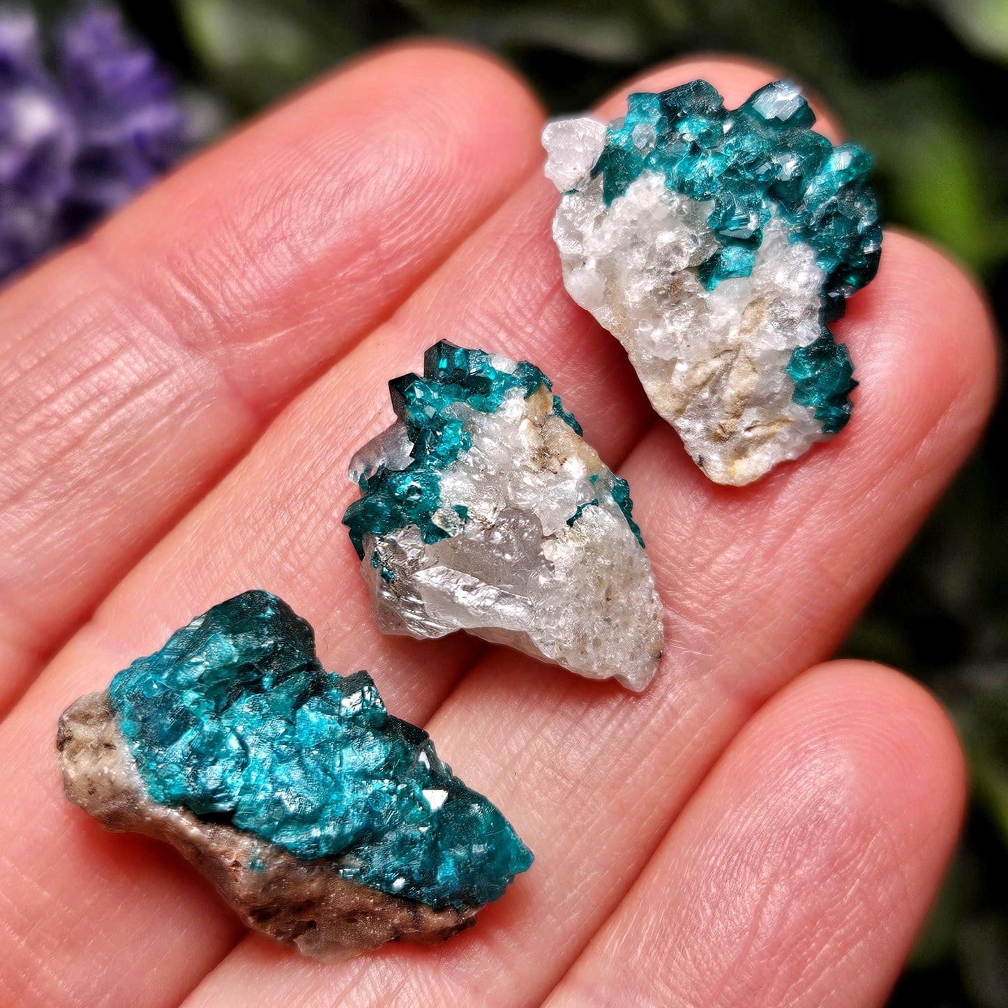Kazakhstan Dioptase Cluster, RARE Locale