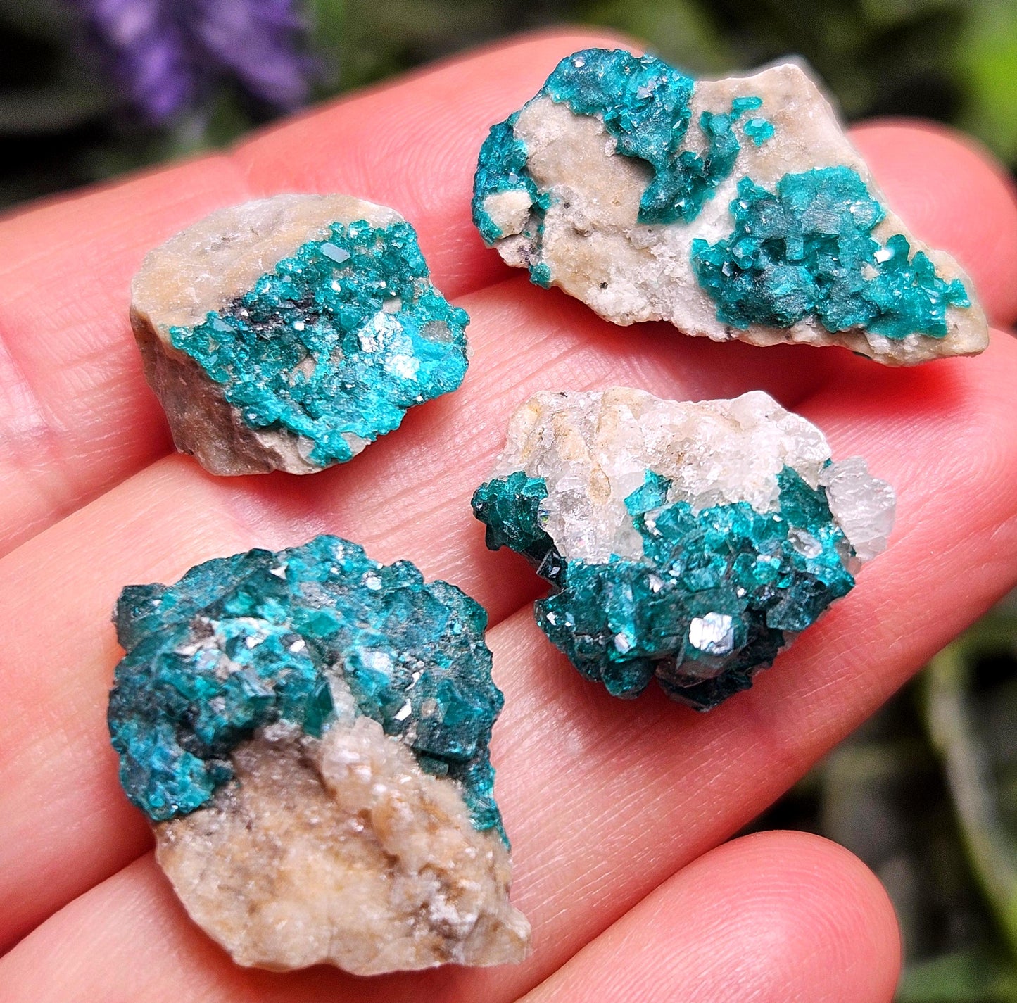 Kazakhstan Dioptase Cluster, RARE Locale