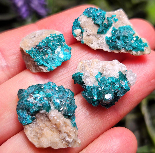 Kazakhstan Dioptase Cluster, RARE Locale