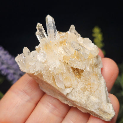 Colombian Lemurian Quartz Cluster, Raw Quartz Crystal from Colombia