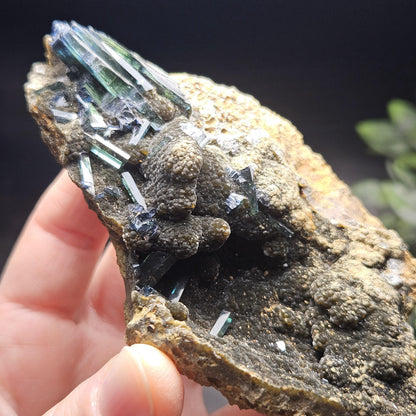 Vivianite Crystal Cluster 212g, Vivianite Specimen, Raw Blue