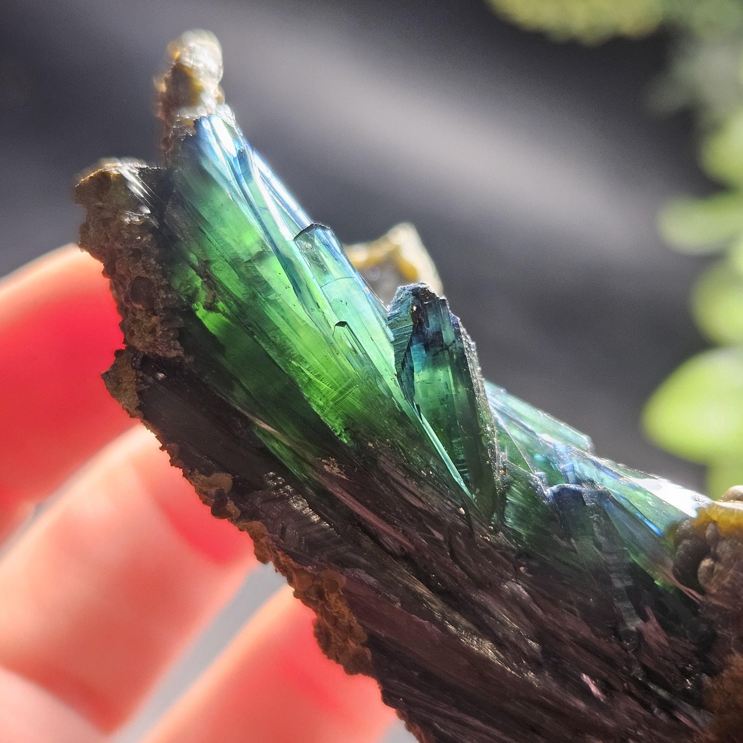 Vivianite Crystal Cluster 57.87g, Vivianite Specimen, Raw Blue