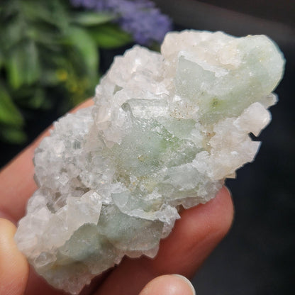 Datolite Crystal with Apophyllite Druze 60.8g
