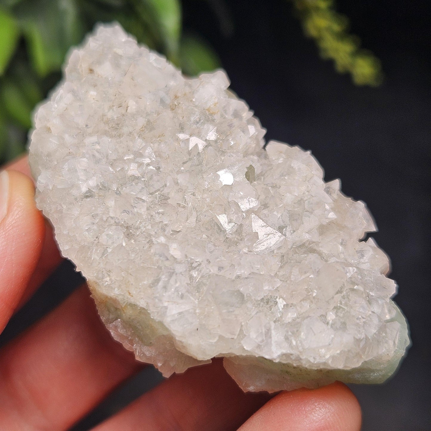 Datolite Crystal with Apophyllite Druze 60.8g
