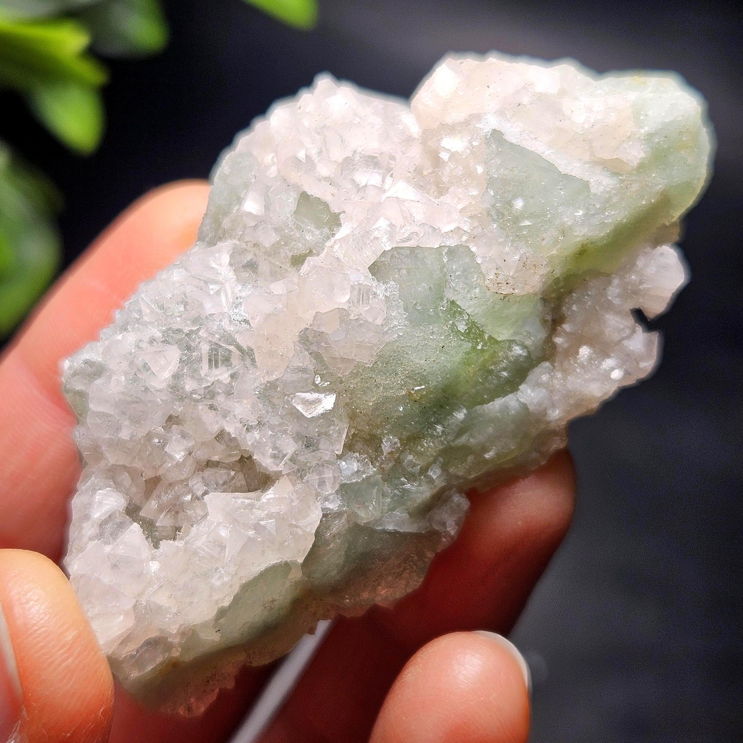 Datolite Crystal with Apophyllite Druze 60.8g