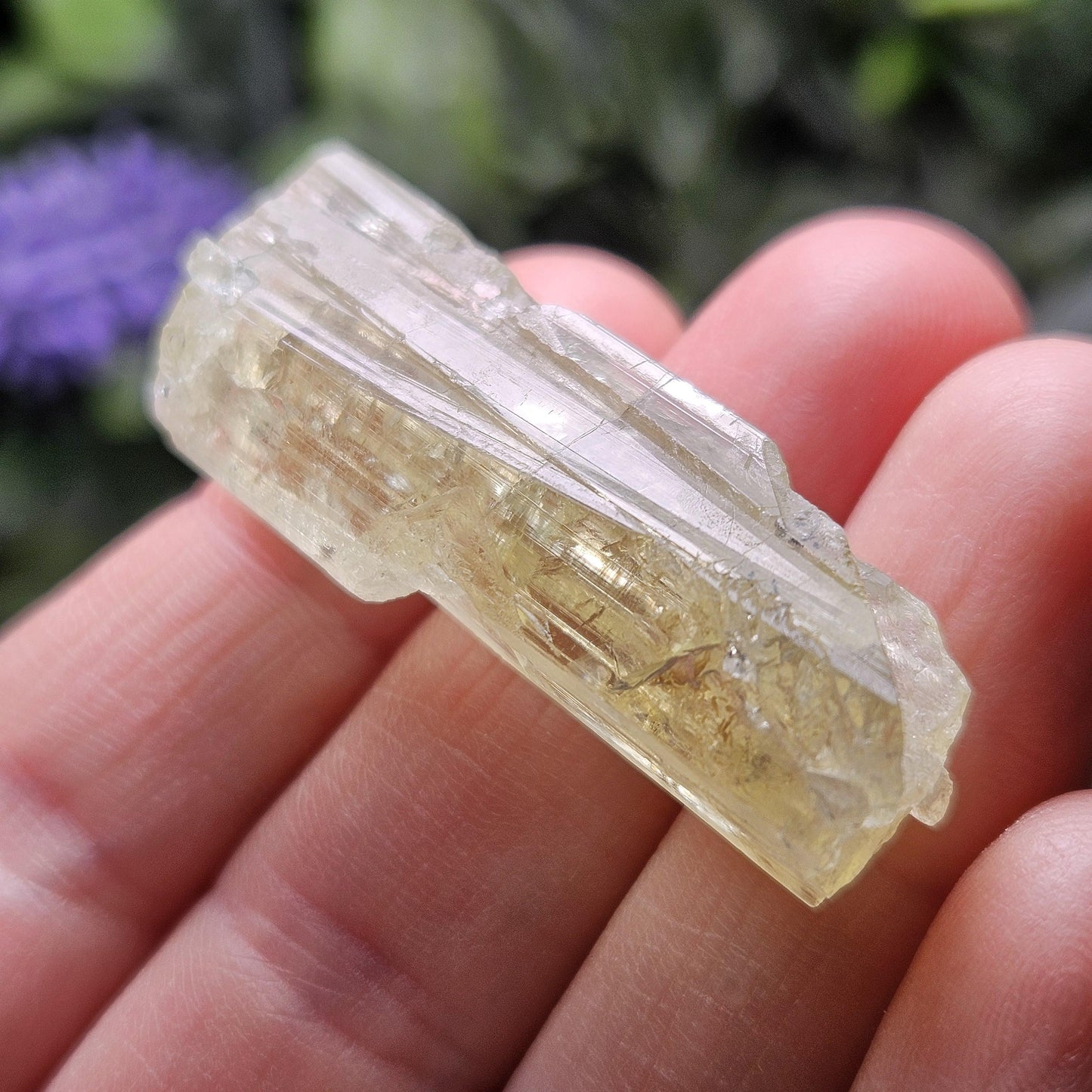 Terminated Heliodor Crystal 12.11g, Rainbow Inclusion, AAA Golden Beryl