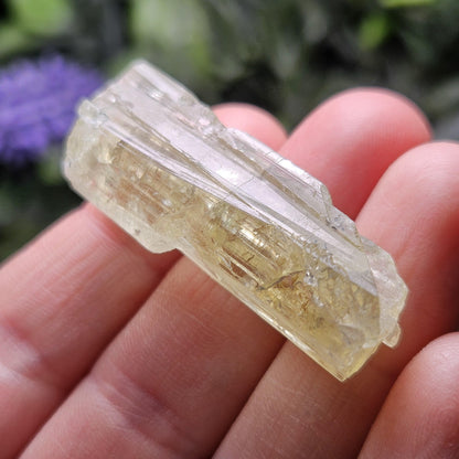 Terminated Heliodor Crystal 12.11g, Rainbow Inclusion, AAA Golden Beryl