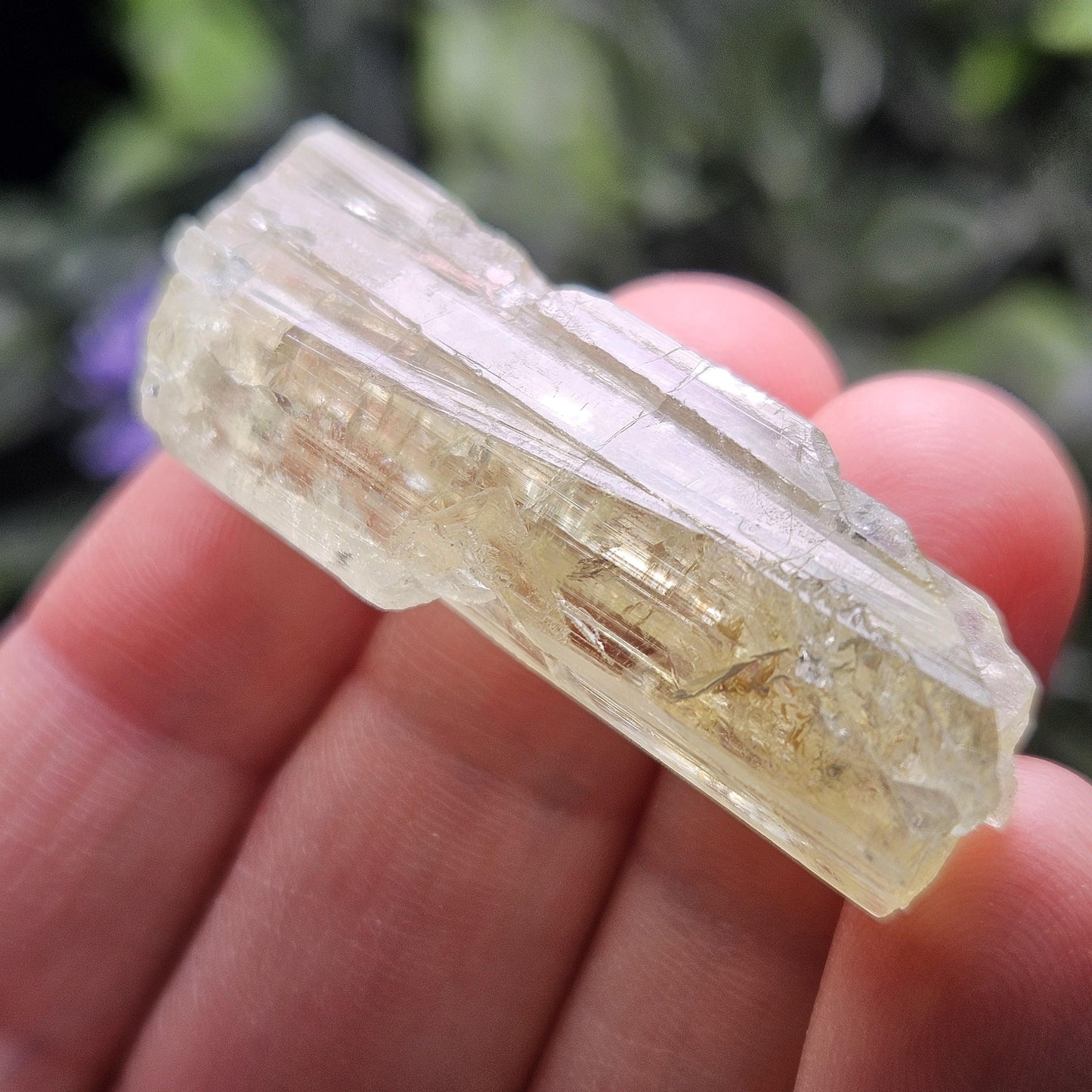 Terminated Heliodor Crystal 12.11g, Rainbow Inclusion, AAA Golden Beryl