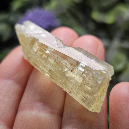 Terminated Heliodor Crystal 12.11g, Rainbow Inclusion, AAA Golden Beryl