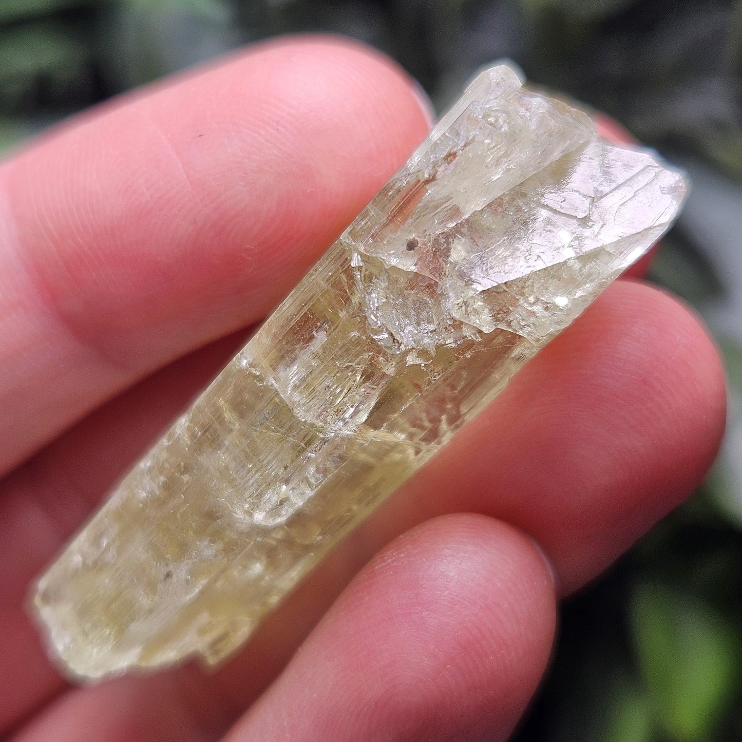 Terminated Heliodor Crystal 12.11g, Rainbow Inclusion, AAA Golden Beryl