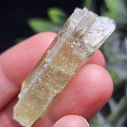 Terminated Heliodor Crystal 12.11g, Rainbow Inclusion, AAA Golden Beryl