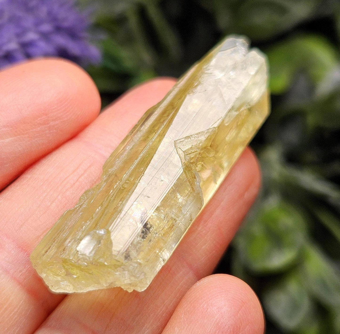 Terminated Heliodor Crystal 12.11g, Rainbow Inclusion, AAA Golden Beryl