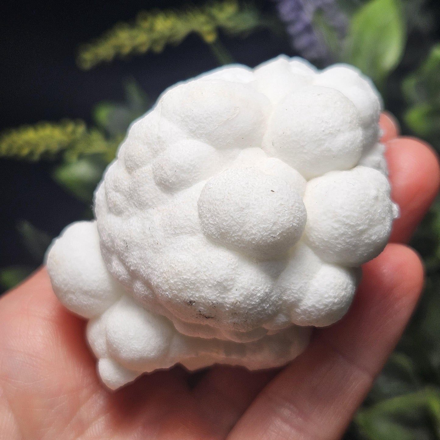 Cave Calcite Stalactite Clusters from Morocco