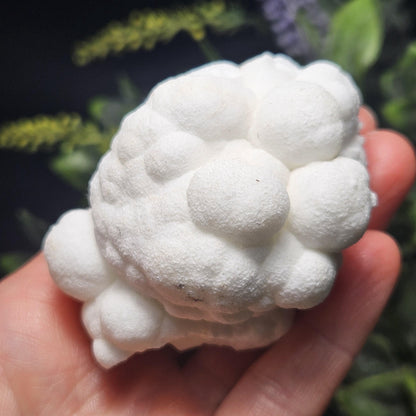 Cave Calcite Stalactite Clusters from Morocco