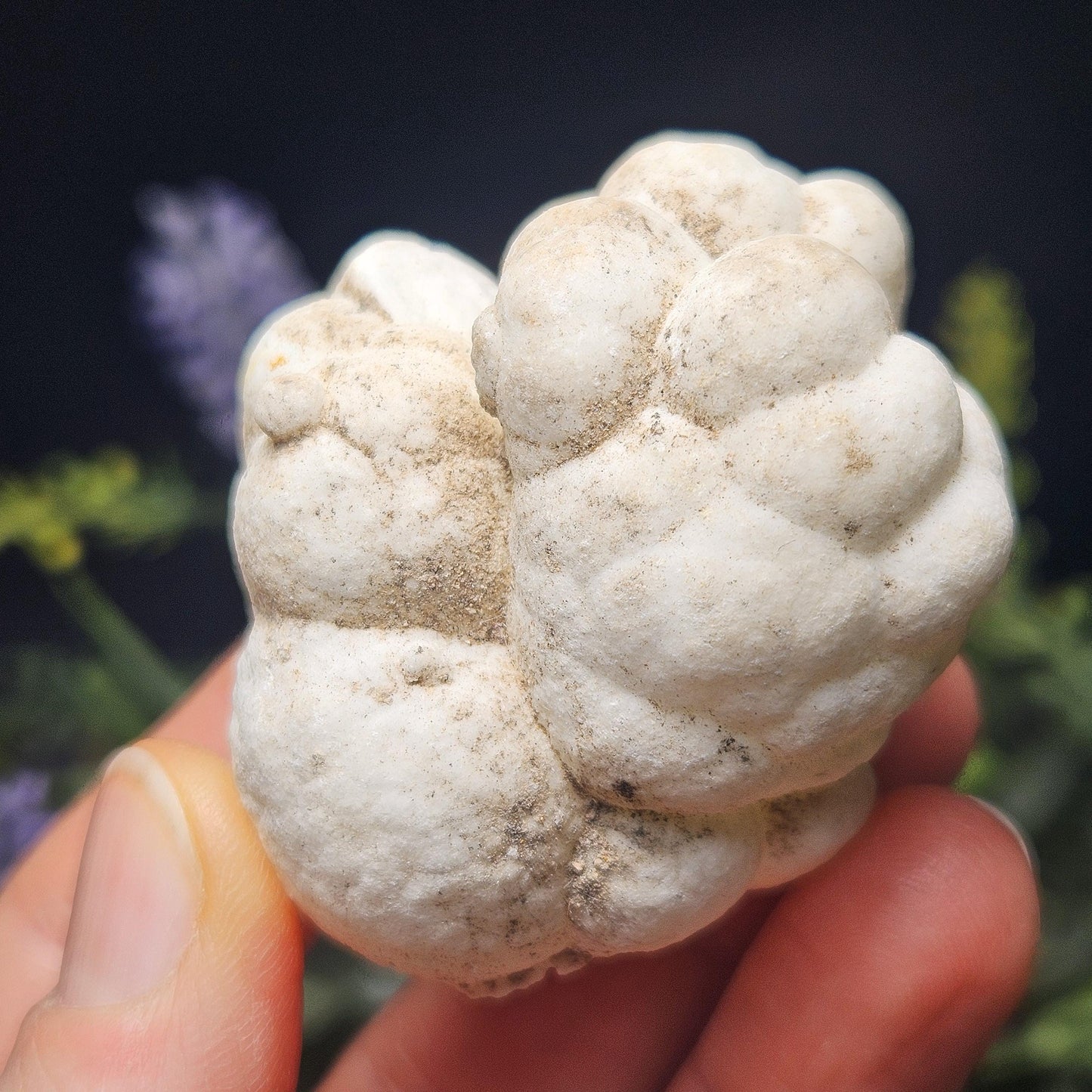 Cave Calcite Stalactite Clusters from Morocco