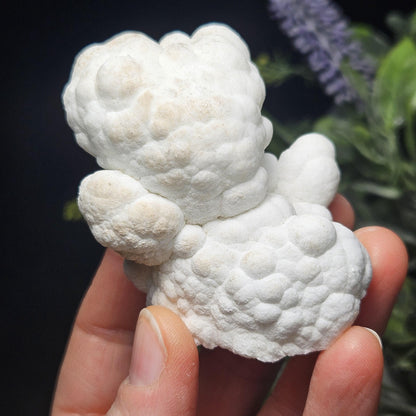 Cave Calcite Stalactite Clusters from Morocco