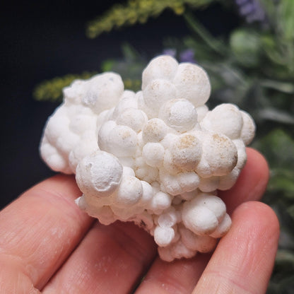 Cave Calcite Stalactite Clusters from Morocco