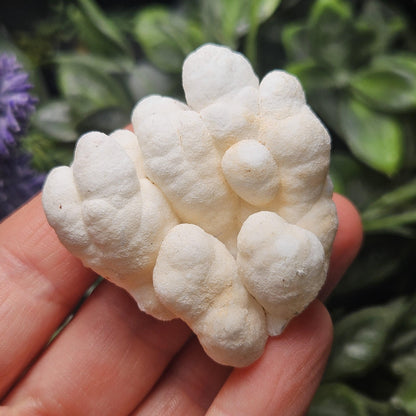 Cave Calcite Stalactite Clusters from Morocco