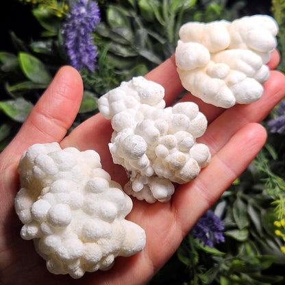 Cave Calcite Stalactite Clusters from Morocco