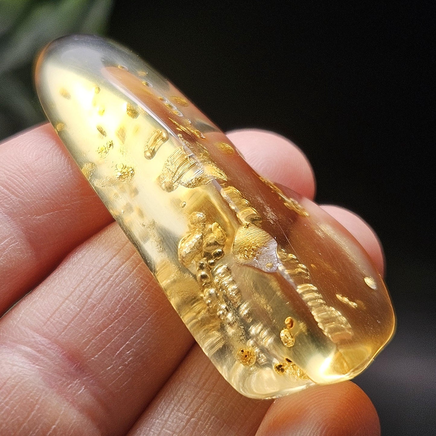 Amber with Bugs & Static Enhydro 6.09g