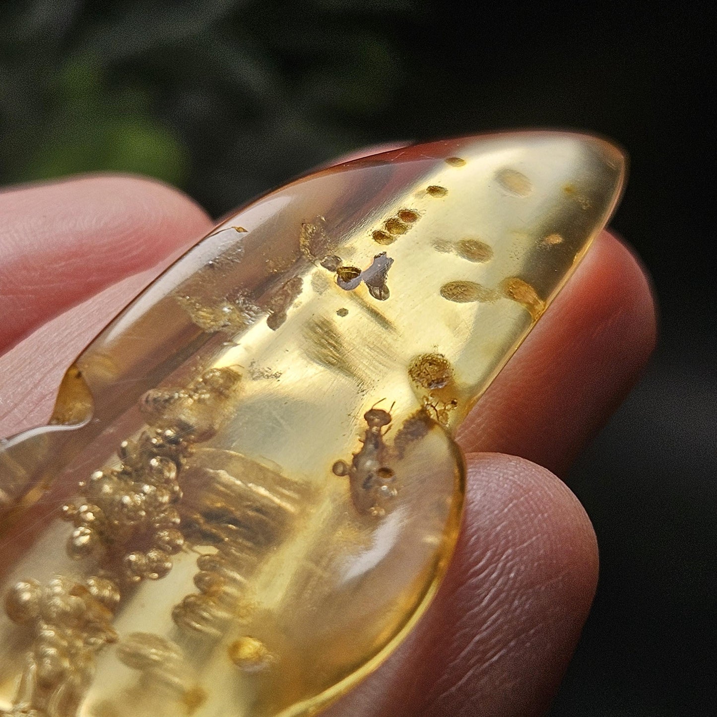 Amber with Bugs & Static Enhydro 6.09g