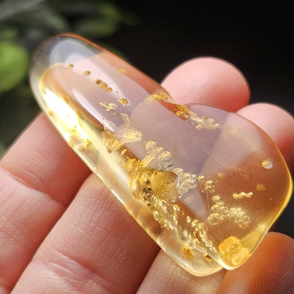 Amber with Bugs & Static Enhydro 6.09g