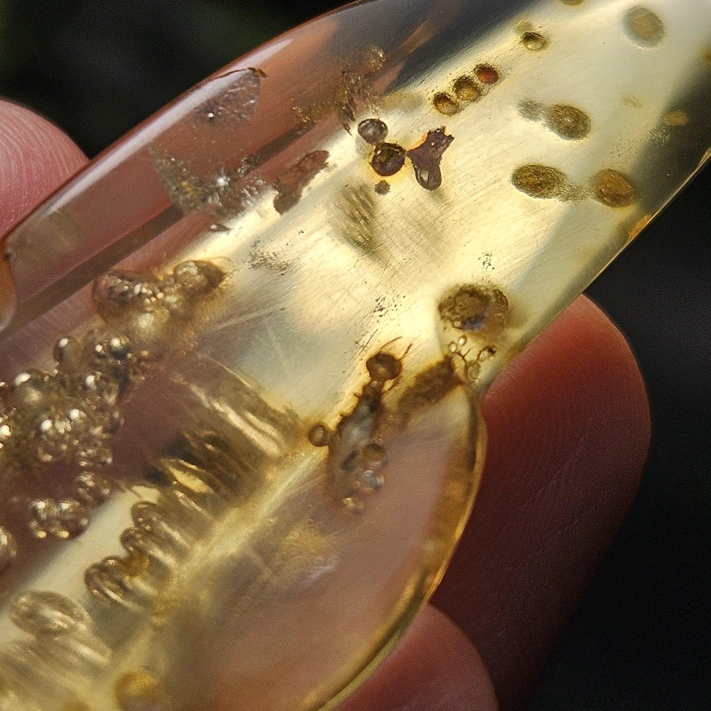 Amber with Bugs & Static Enhydro 6.09g