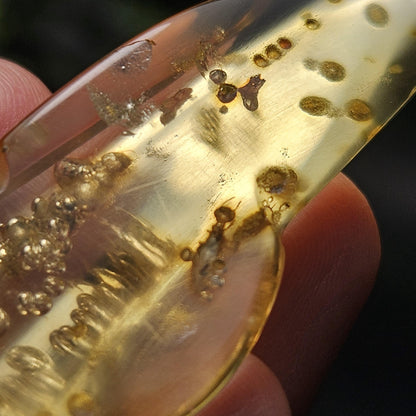 Amber with Bugs & Static Enhydro 6.09g