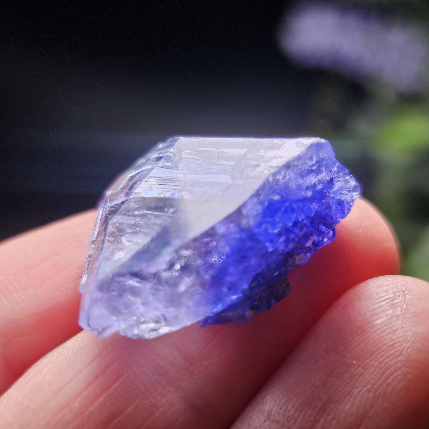 Tanzanite Crystal 6.69g, Bi Colored Raw Tanzanite Stone Specimen