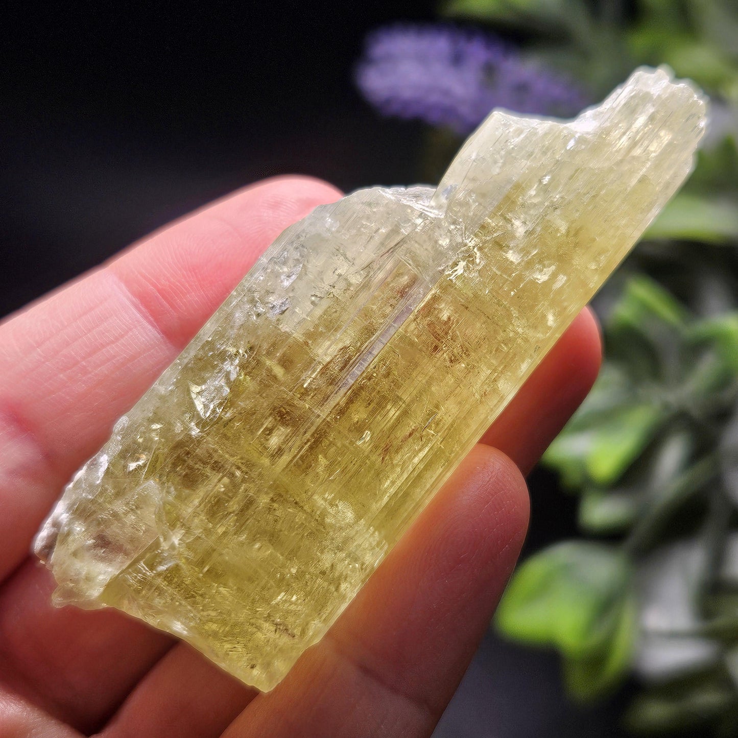 Golden Heliodor Crystal 47.46g