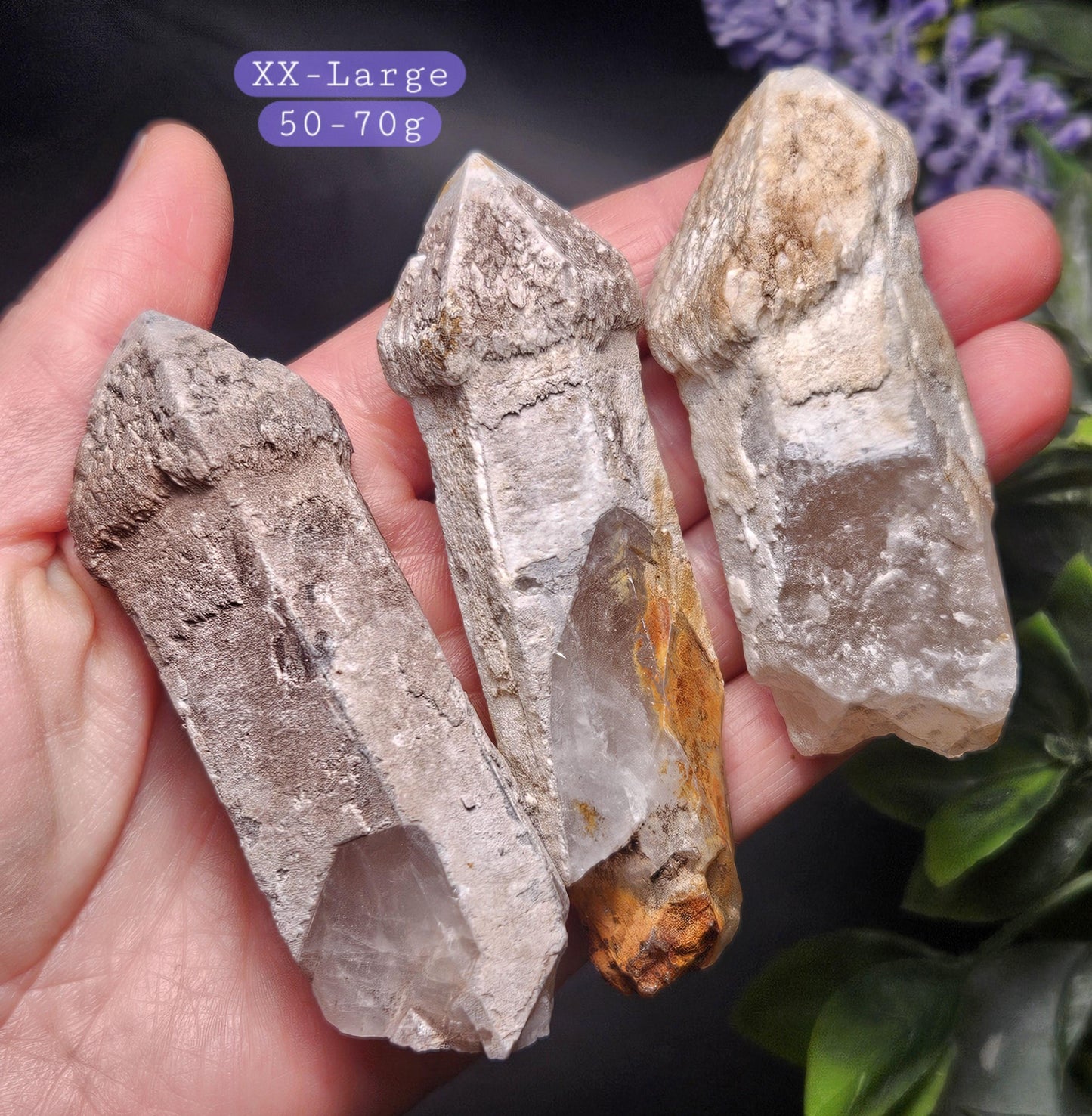 Skeletal Scepter Quartz Crystal Specimen