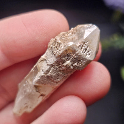 Skeletal Scepter Quartz Crystal Specimen
