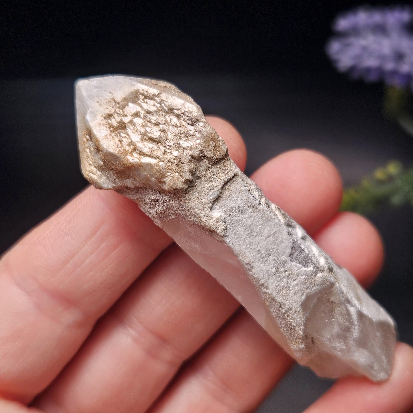 Skeletal Scepter Quartz Crystal Specimen