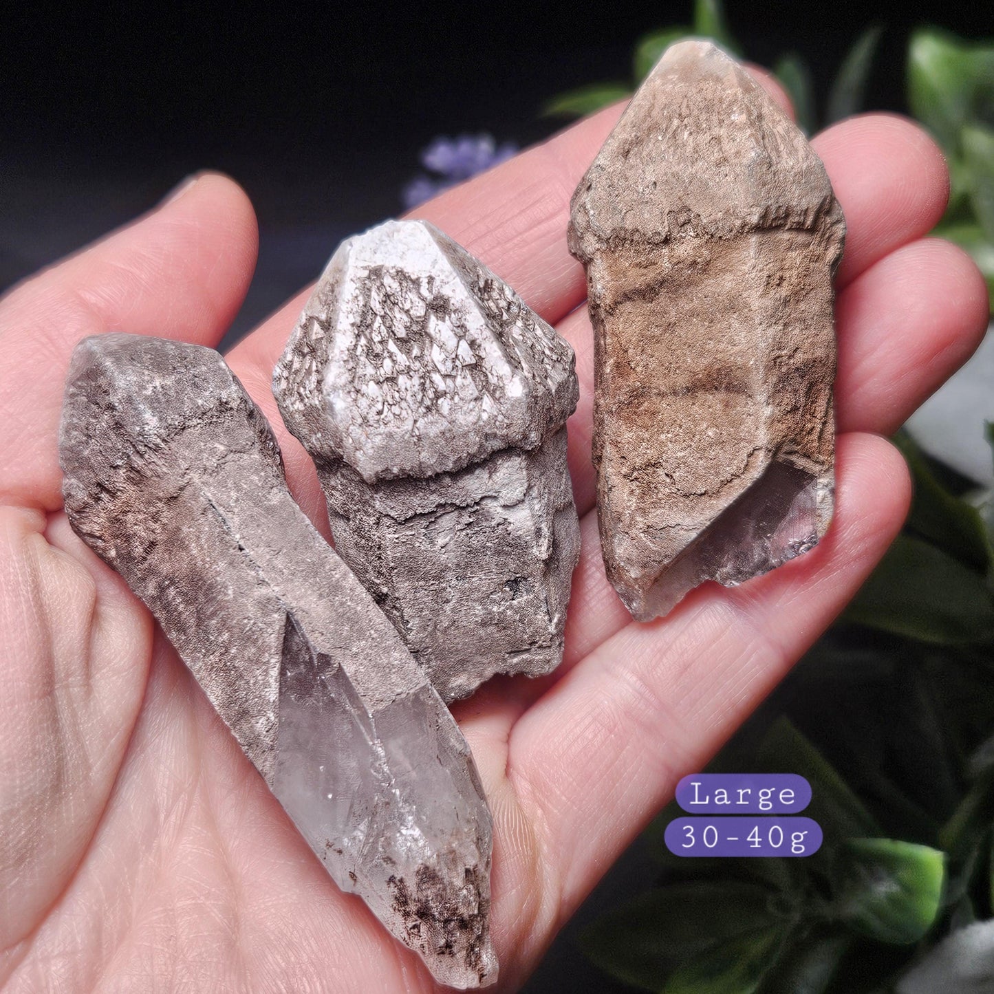 Skeletal Scepter Quartz Crystal Specimen