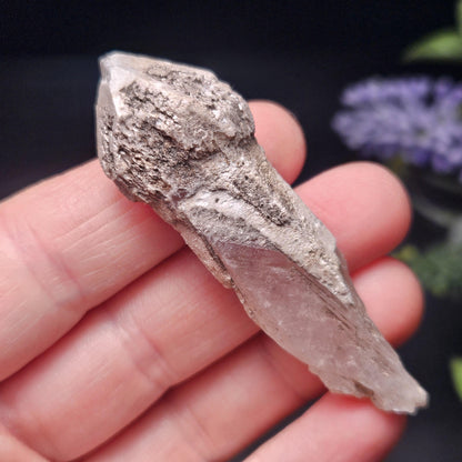Skeletal Scepter Quartz Crystal Specimen