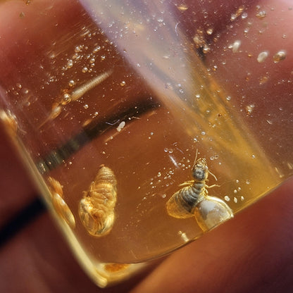 Amber with Bugs & Static ENHYDRO 11.2g, Polished Amber Specimen from Colombia