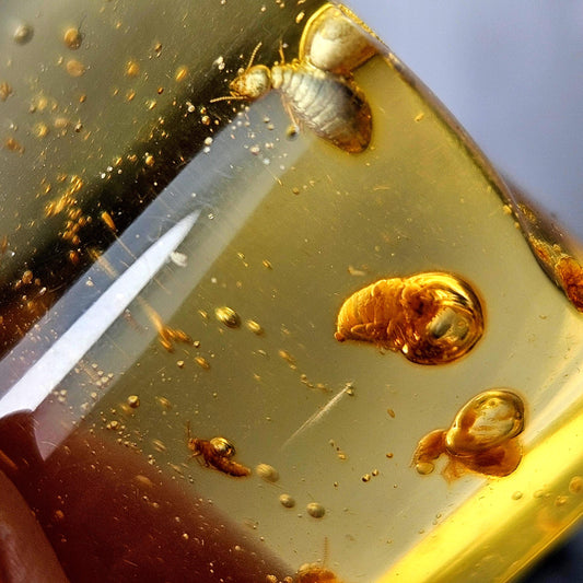 Amber with Bugs & Static ENHYDRO 11.2g, Polished Amber Specimen from Colombia